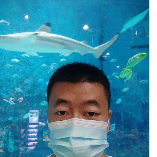 河北34岁单身帅哥真诚找对象-齐齐哈尔征婚相亲网