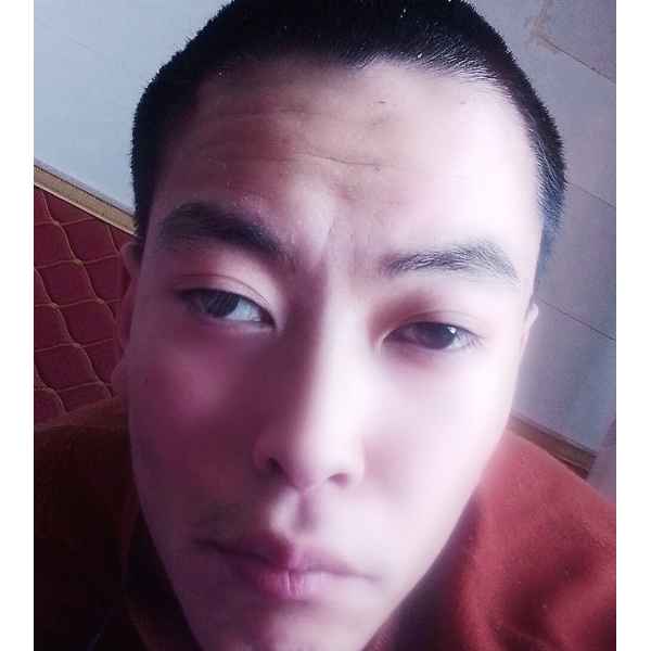 宁夏25岁单身帅哥真诚找对象-齐齐哈尔征婚相亲网