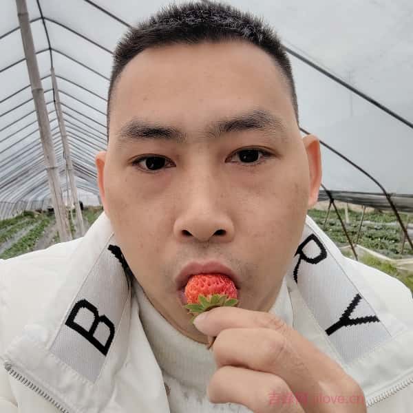 齐齐哈尔征婚相亲网