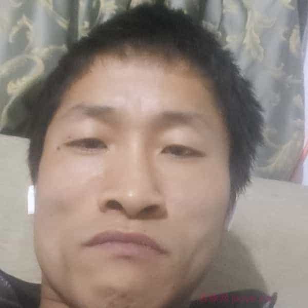 31岁岁河南单身帅哥 - 齐齐哈尔吉缘网