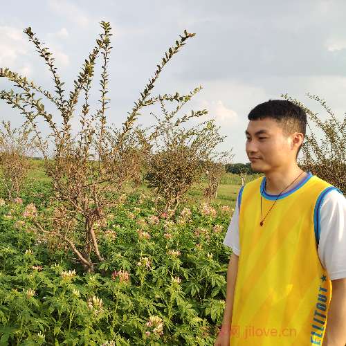 37岁岁广东单身帅哥 - 齐齐哈尔吉缘网